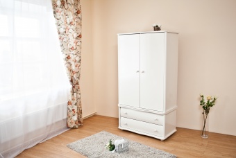 Шкаф детский С534